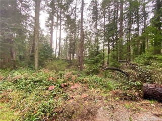Picture of Point Roberts Parcel Number 405312-117438